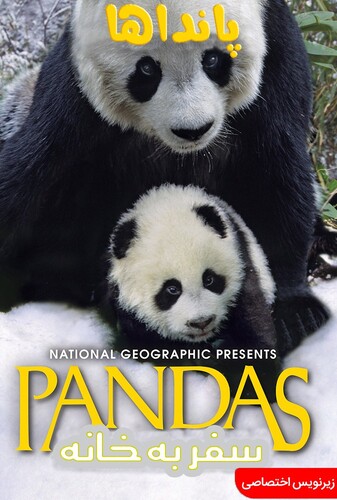 پانداها: بازگشت به خانه - پوستر