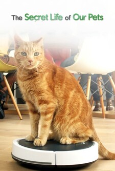 پوستر قسمت 1