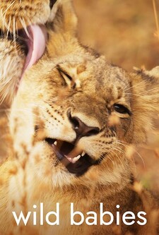 پوستر قسمت 4