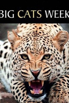 پوستر قسمت 7